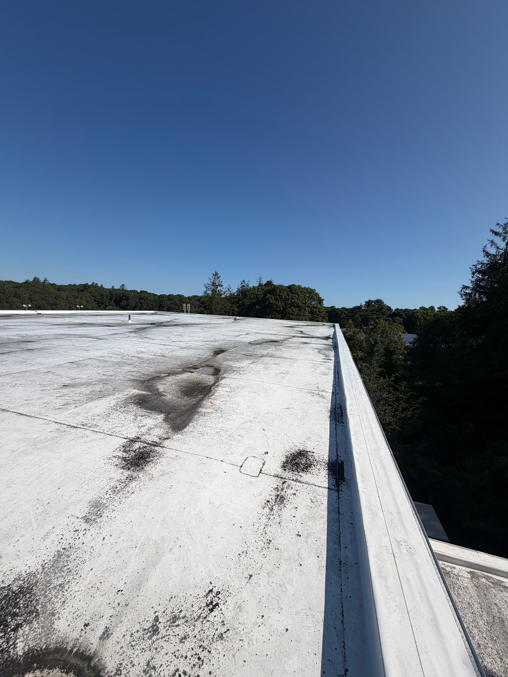 Gallery photos for What a Commercial Flat Roof Is Telling You Before It Leaks: Image #2
