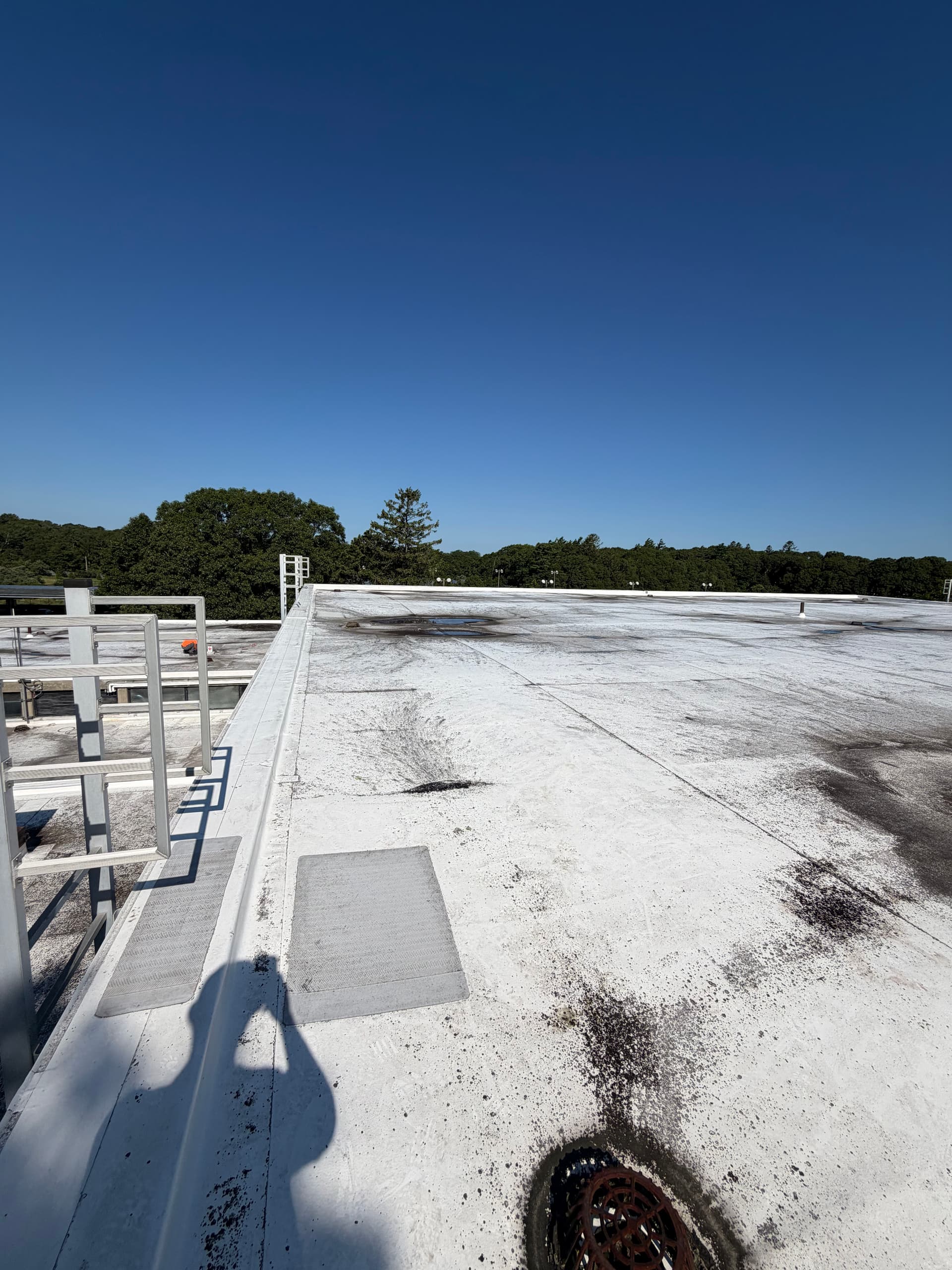 What a Commercial Flat Roof Is Telling You Before It Leaks image