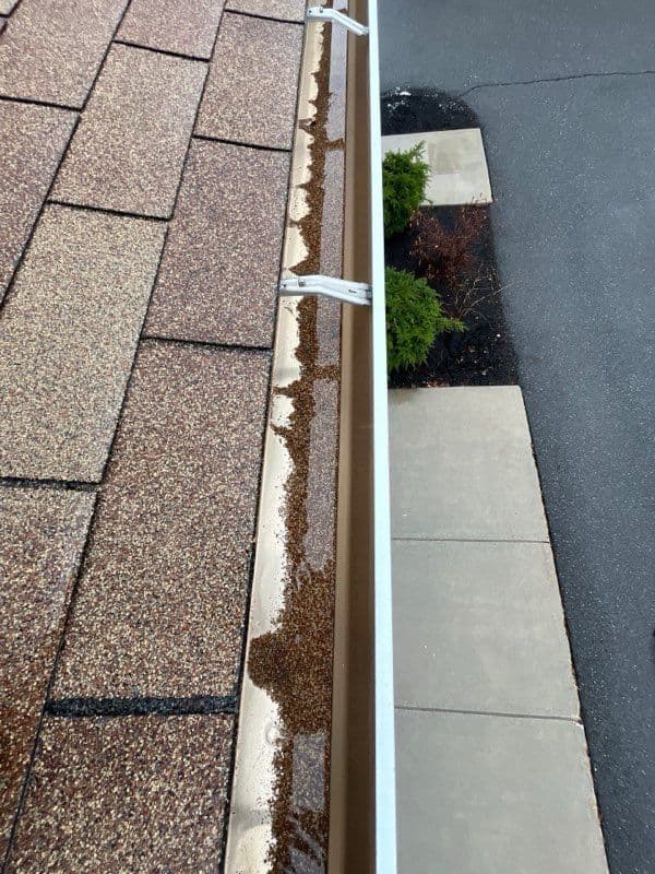 Gallery photos for Brighton MA Gutter Cleaning Service Success: Image #2