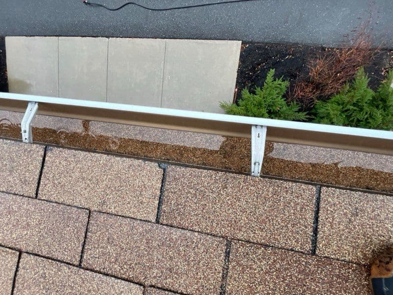 Gallery photos for Brighton MA Gutter Cleaning Service Success: Image #3