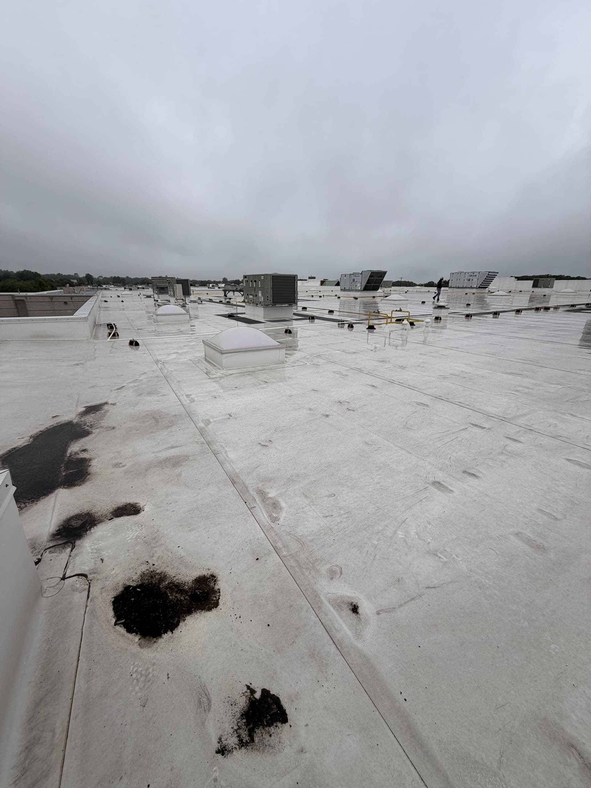 Gallery photos for Standing Water on a Flat Roof Is Never Just a Puddle: Image #1