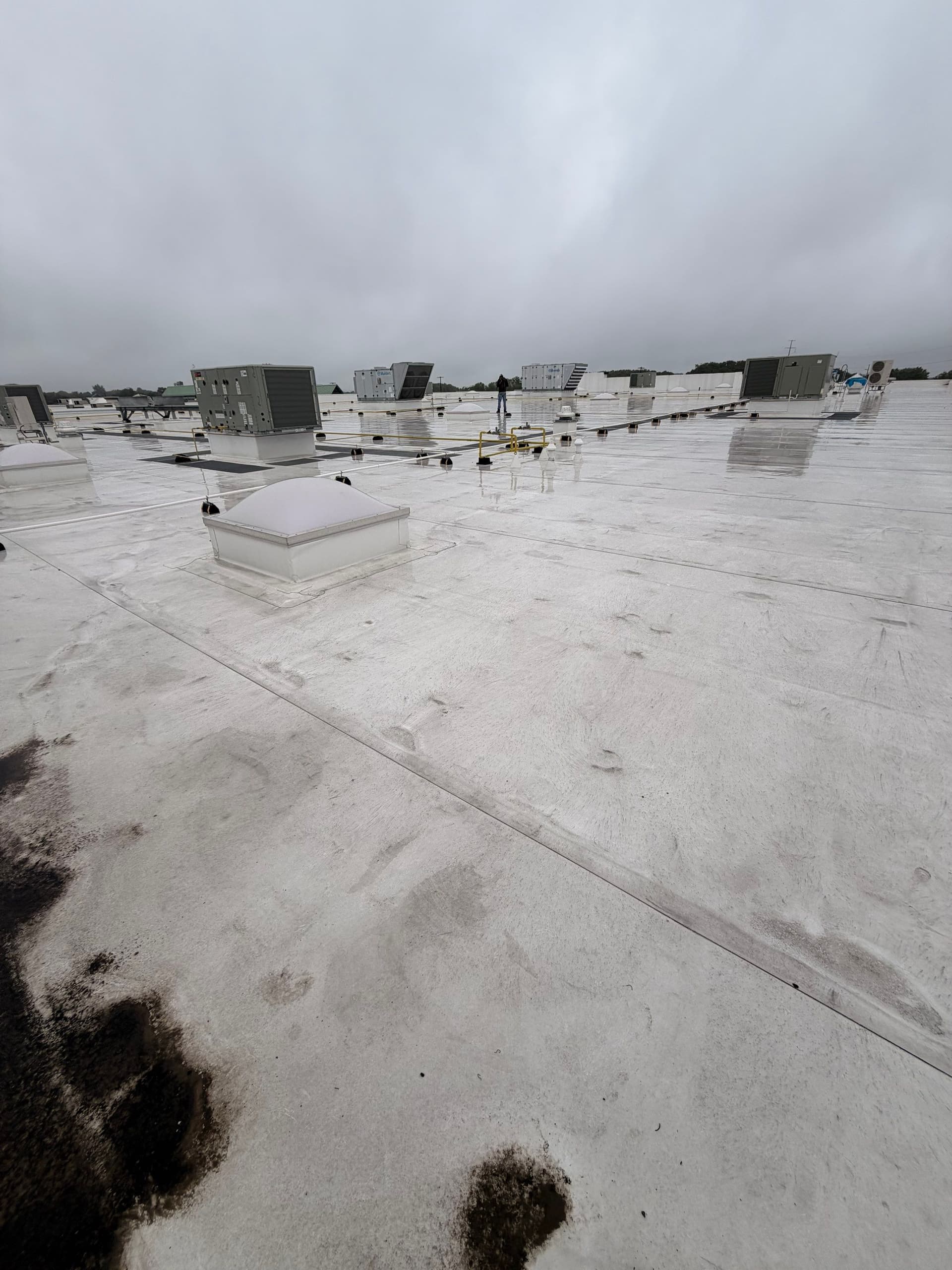 Gallery photos for Standing Water on a Flat Roof Is Never Just a Puddle: Image #3