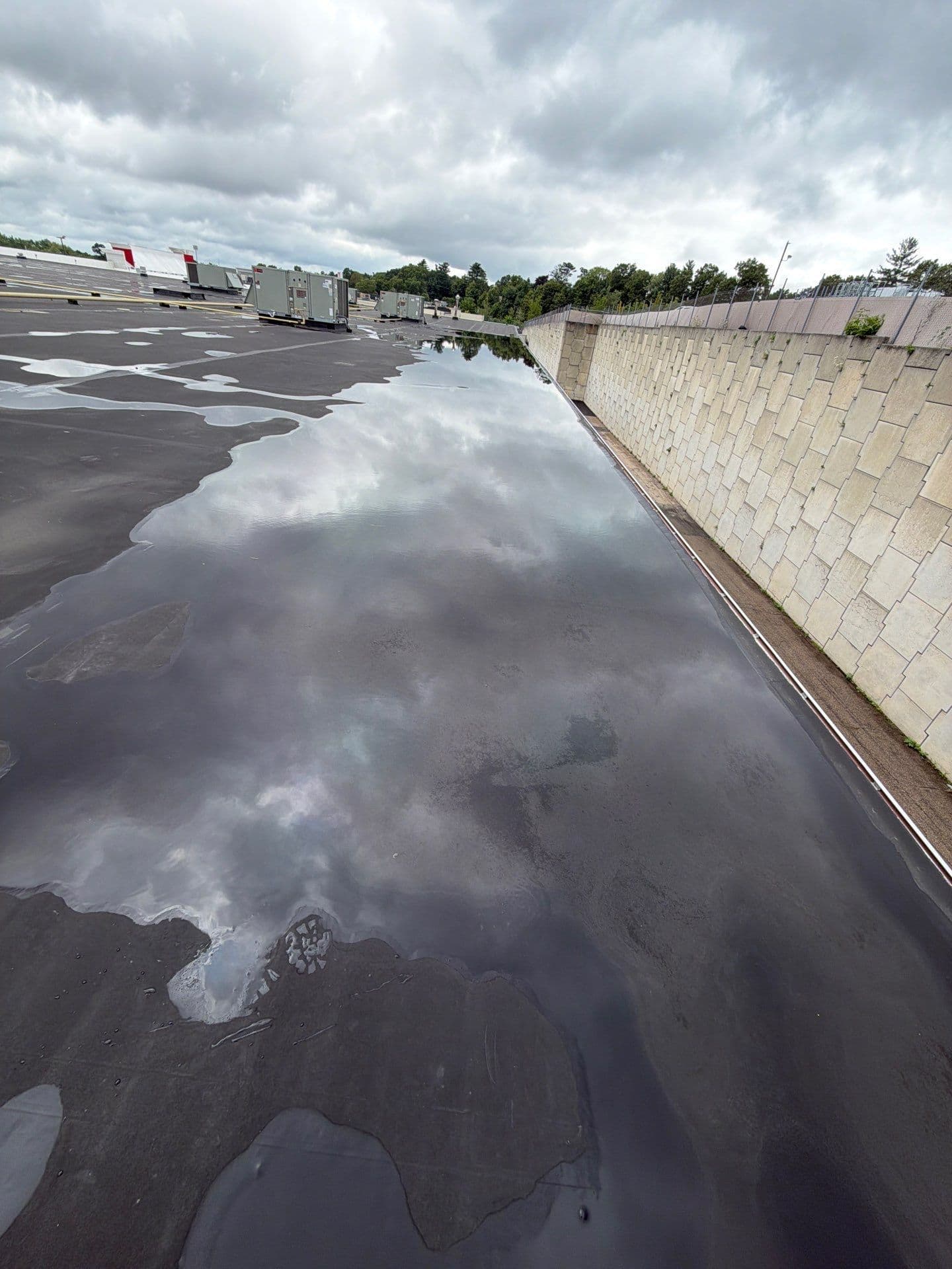 Standing Water on a Flat Roof Is Never Just a Puddle image