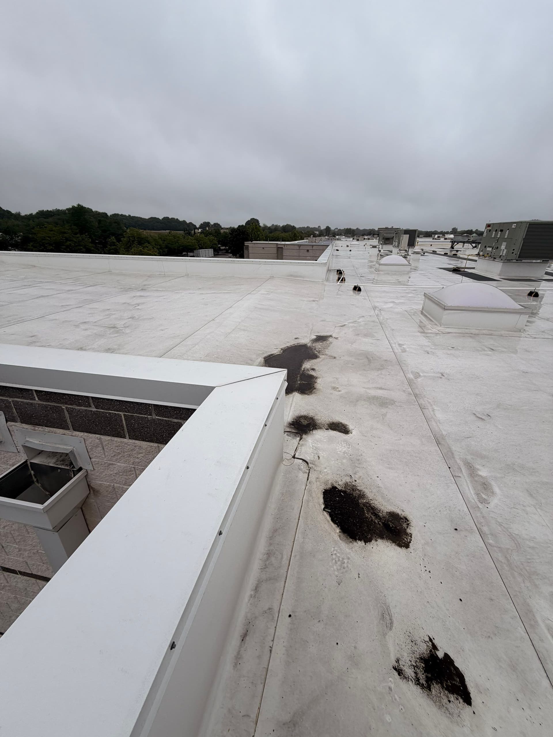 Gallery photos for Standing Water on a Flat Roof Is Never Just a Puddle: Image #2